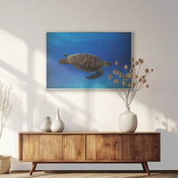 PS-093W062