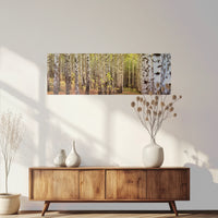 PO-150P050