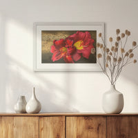 PWP060W040