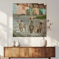AC-080W080