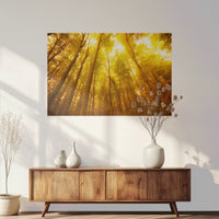 PO-120W080