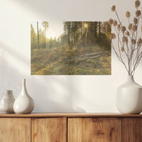 PO-045W030