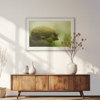 PSP100W070