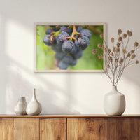 PN-060W040
