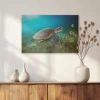AC-060W040