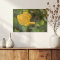 AL-030W020