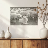 PO-045W030