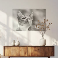 AC-075W050