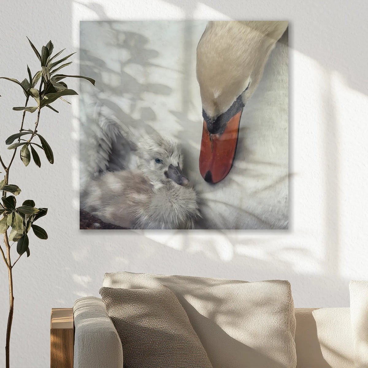 AC-050W050