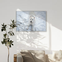 PS-120W080