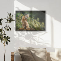PB-060W040