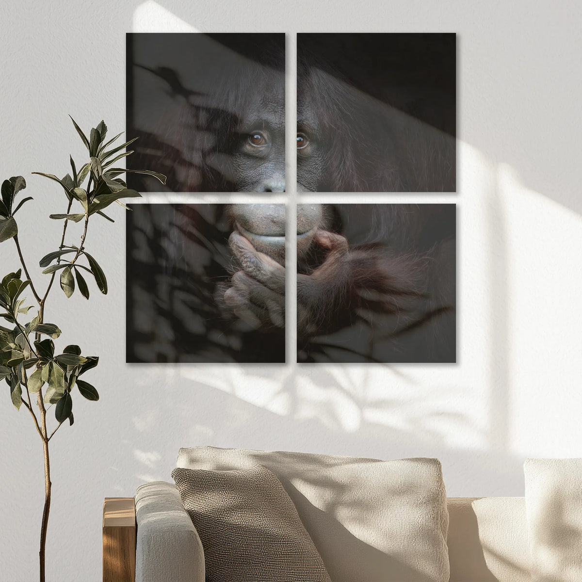 AC-080V080