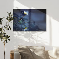 AL-075W050