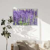 PS-100W070