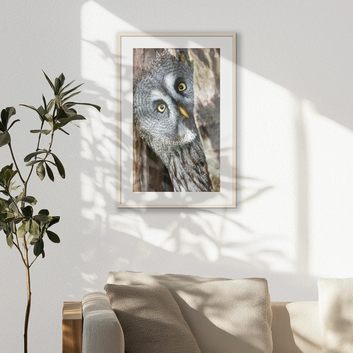 PNP062W093
