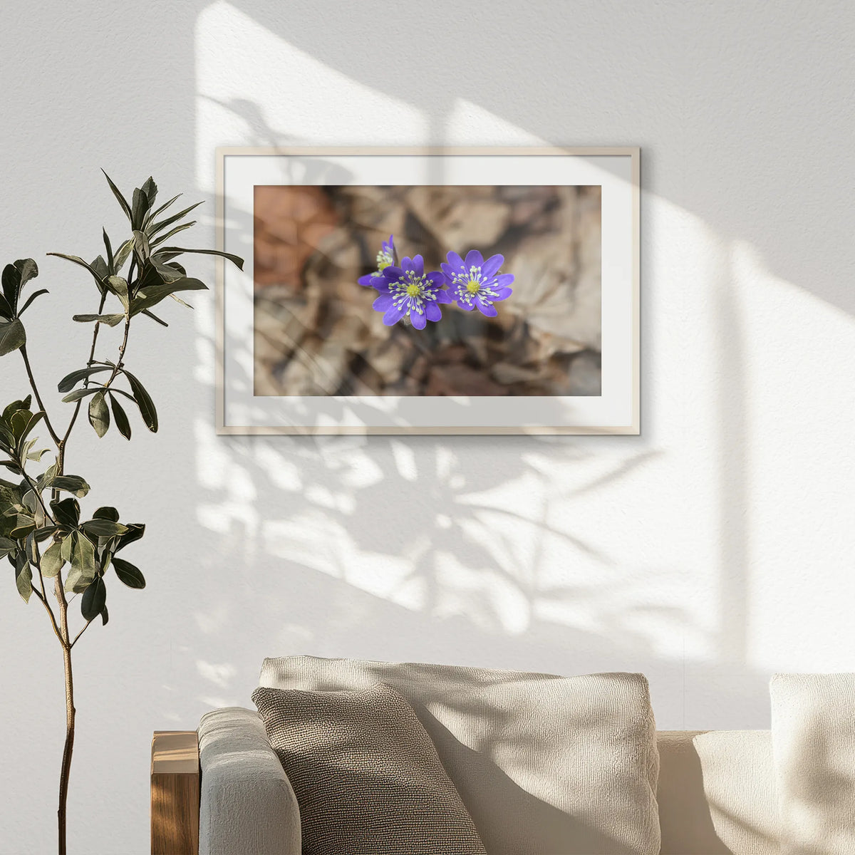 PNP093W062