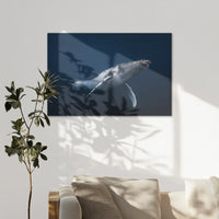 AL-120W080