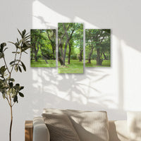 AC-060T040