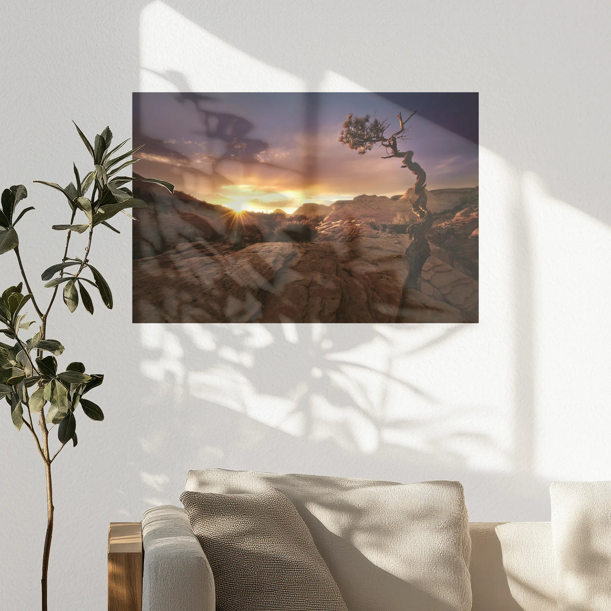 PO-075W050