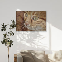 PB-120W080
