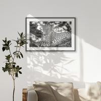 PKP100W070