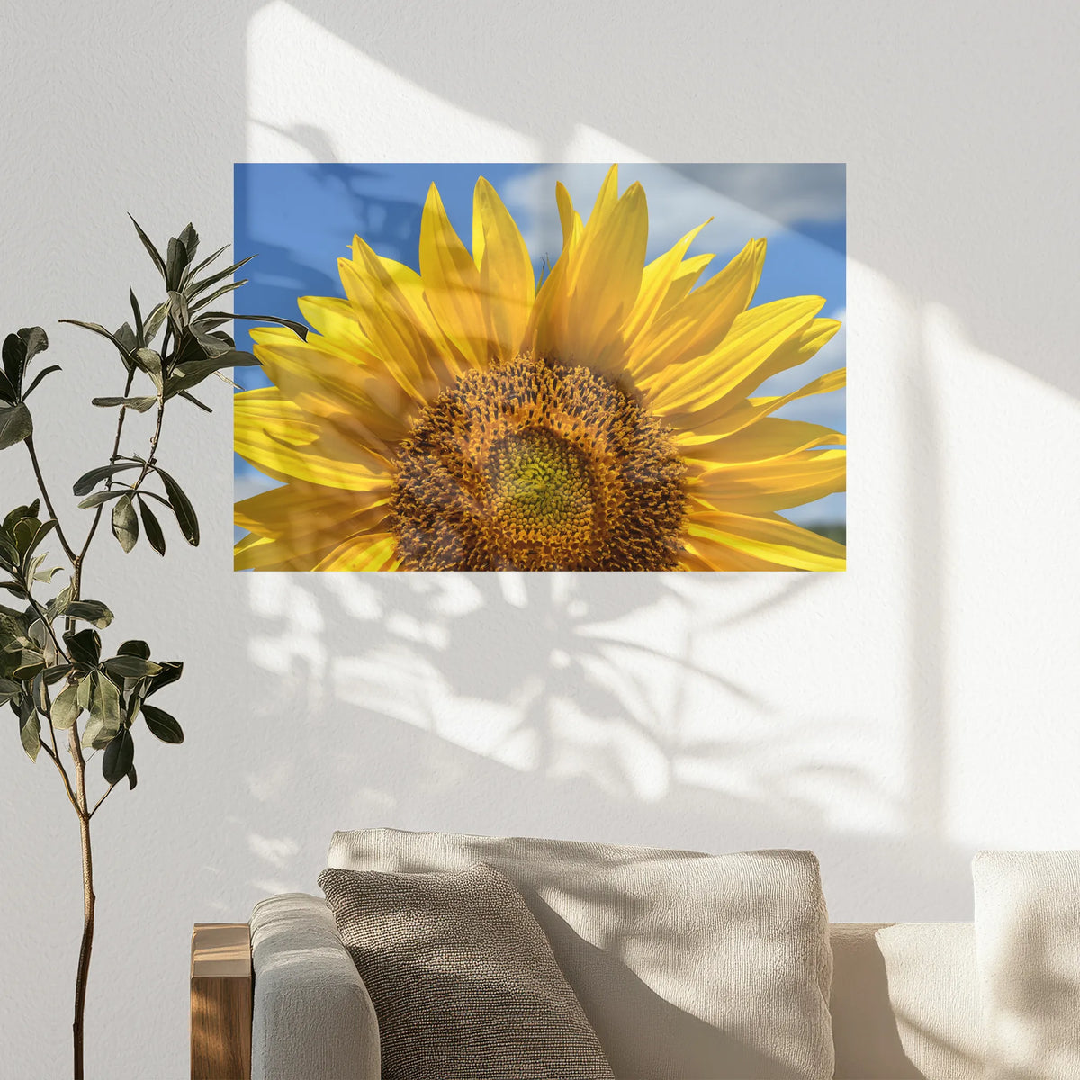 PO-075W050