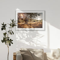 PSP120W080