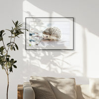 PBP093W062