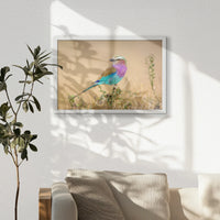 LWW060W040