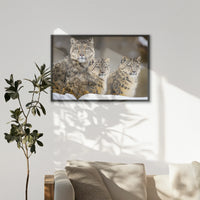 LWB120W080