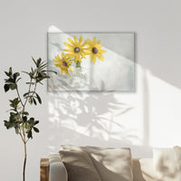 PS-120W080
