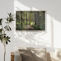 PN-093W062