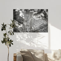 AL-120W080