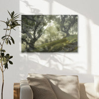 AL-030W020