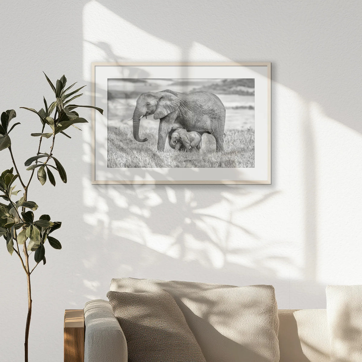 PNP093W062
