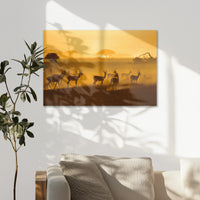 AC-075W050