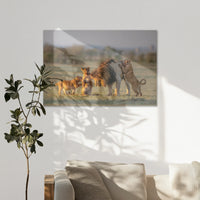 AL-120W080