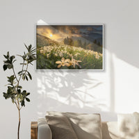 PW-100W070