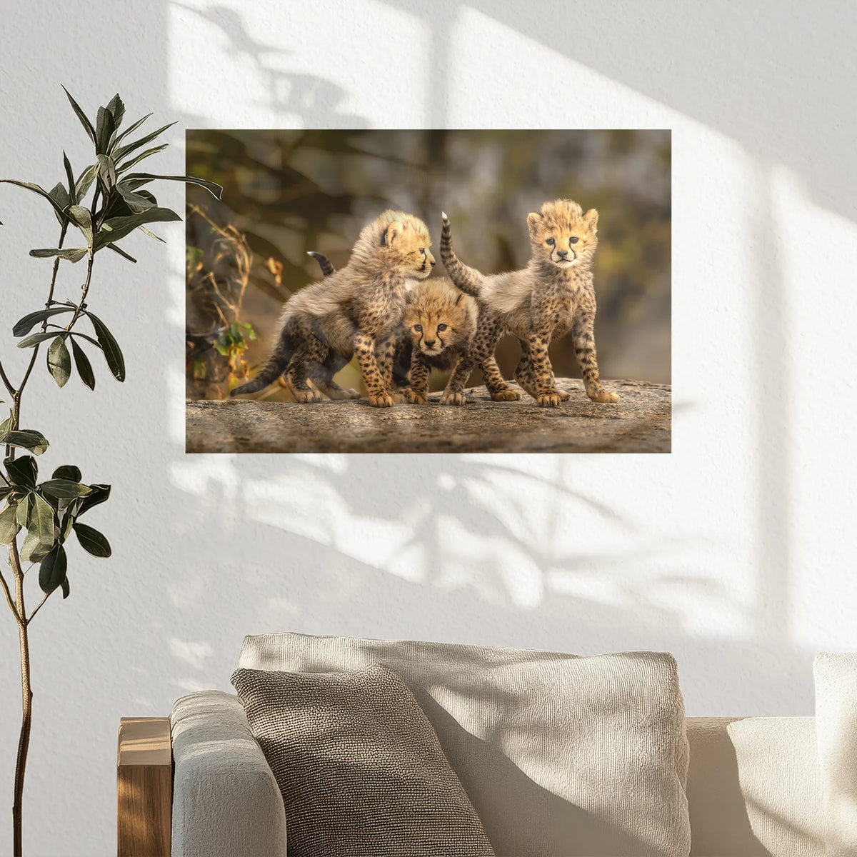 PO-045W030
