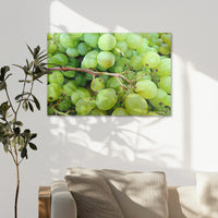 AL-075W050