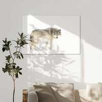 AC-120W080