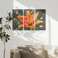 AC-090R060