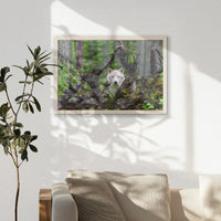 PN-060W040