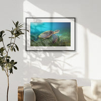 PBP060W040