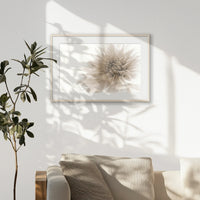 PNP093W062