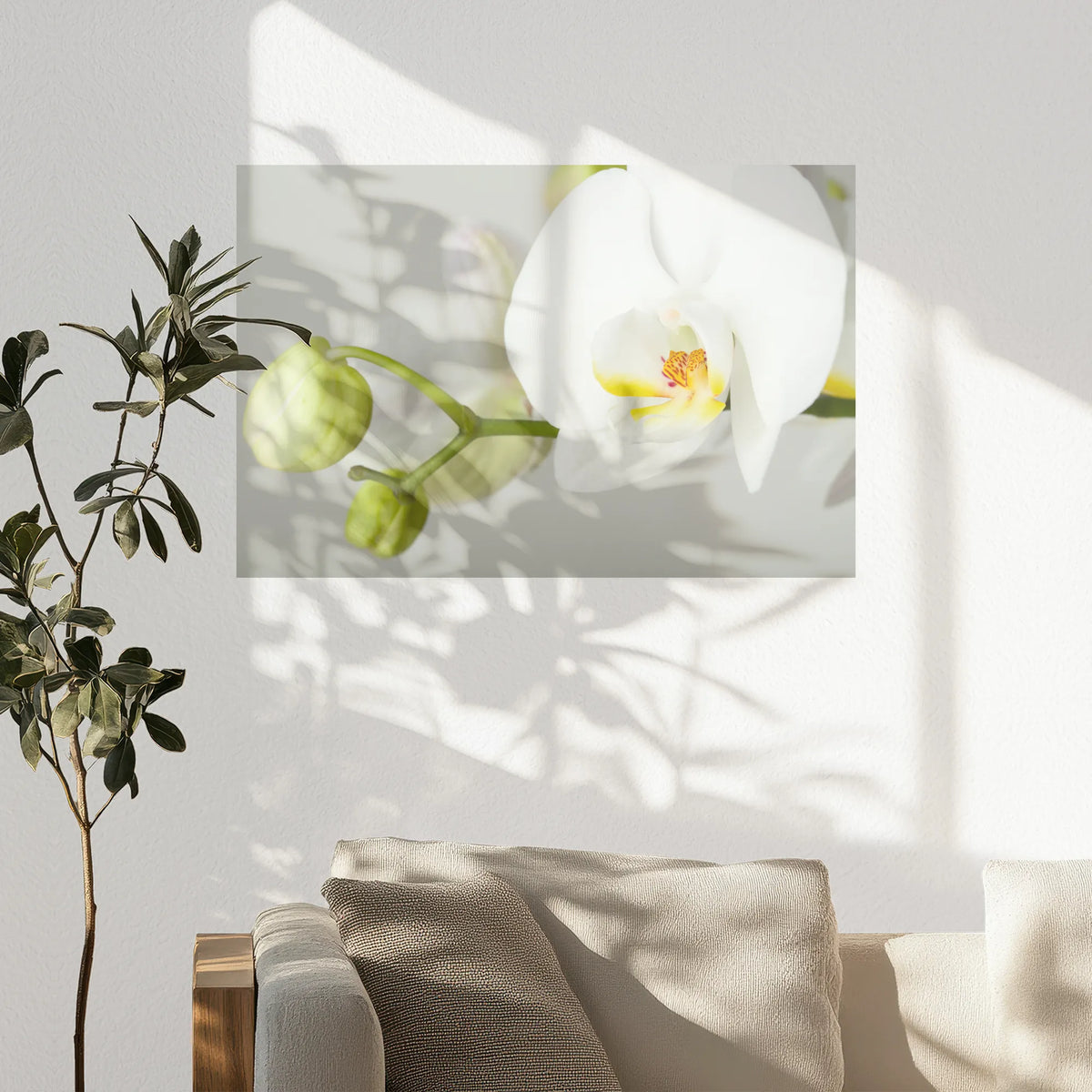 PO-075W050