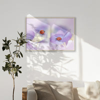 PN-100W070