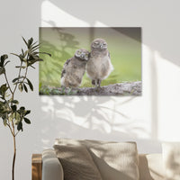 AL-090W060