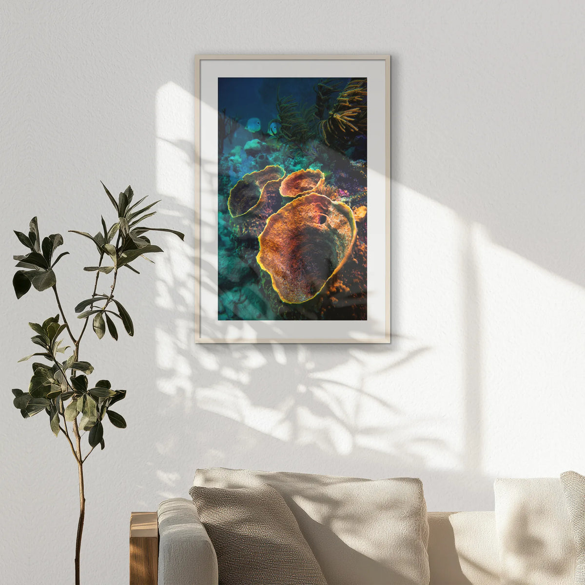 PNP070W100