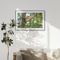 PBP100W070